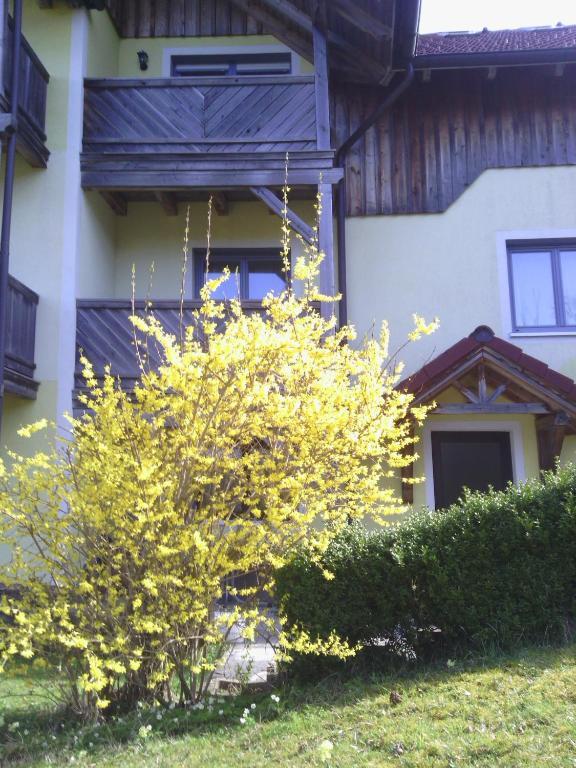 Apartments Grabler Altmünster Eksteriør bilde